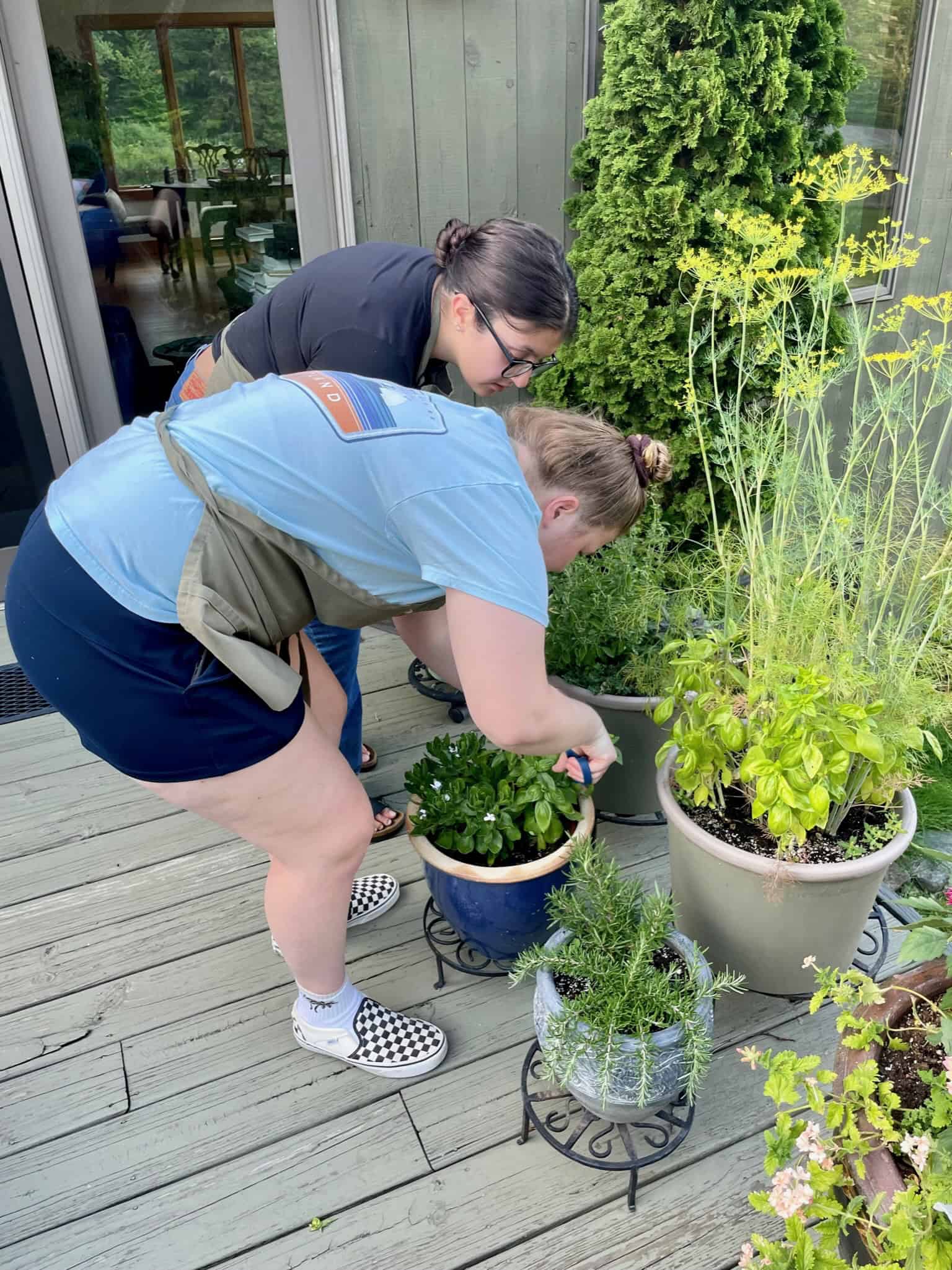 Outdoor gardening activity with two women planting herbs and flowers on a wooden deck.