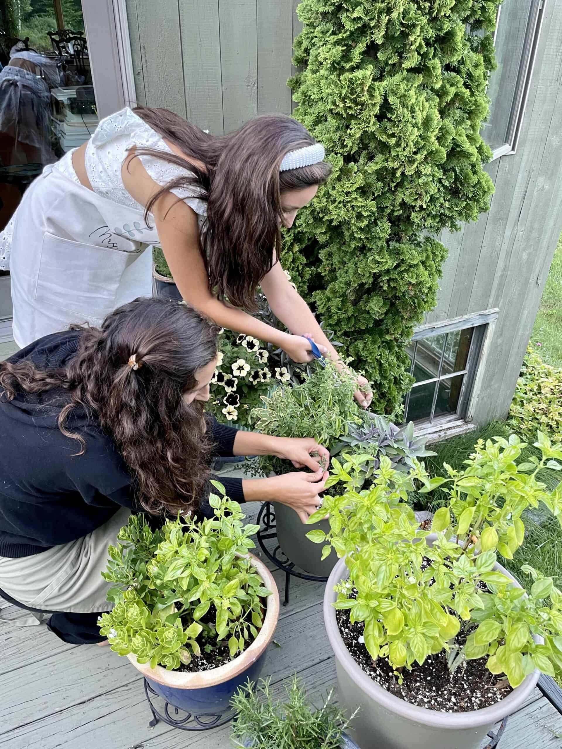 Outdoor garden event setup with women tending to potted plants.