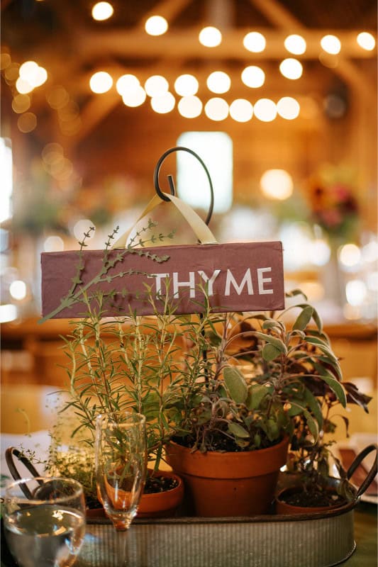 Herb centerpiece with thyme, rosemary, and basil for event table decor.