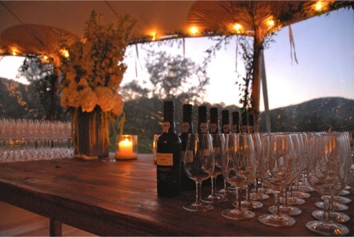 Elegant outdoor event setup with wine bottles and glasses under string lights.