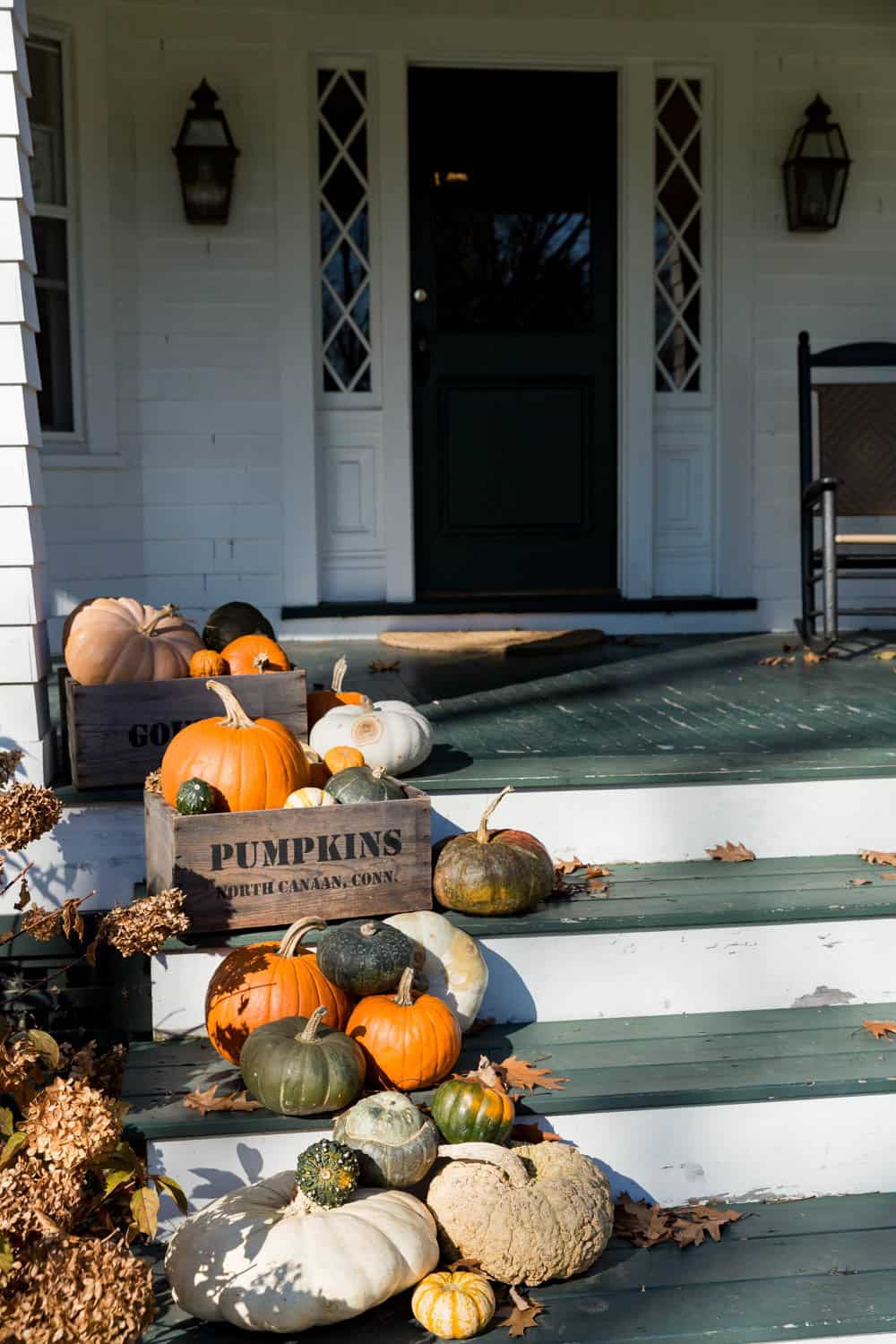 Pumpkins and gourds arranged on front porch steps for fall decoration.