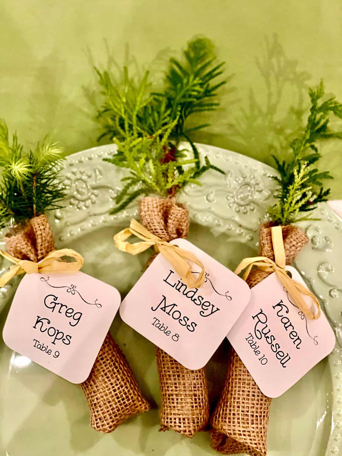 Miniature tree bouquets in burlap-wrapped pots with personalized name tags for table settings.